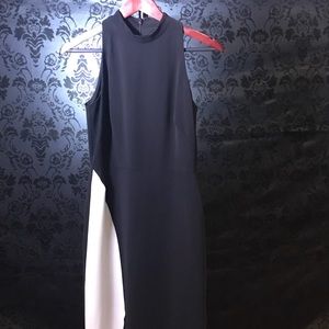 WHBM form fitting sleeveless mock turtleneck dress